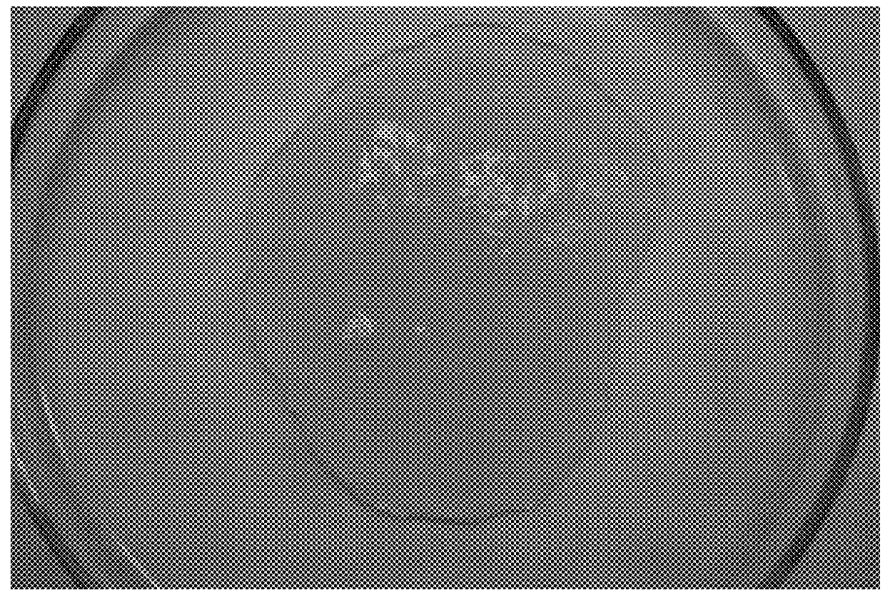 Processes for isolating chitin and chitosan from fungal biomass