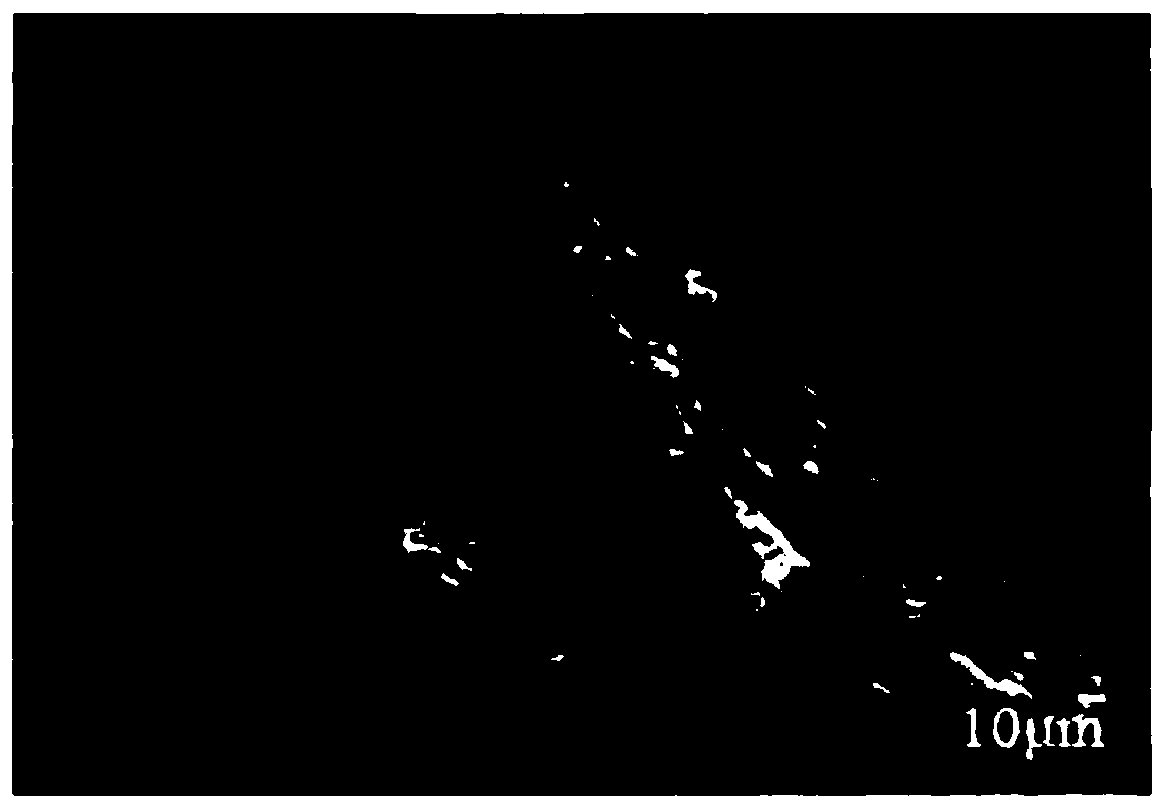 Polysilicate iron/cationic starch composite flocculant and preparation method thereof