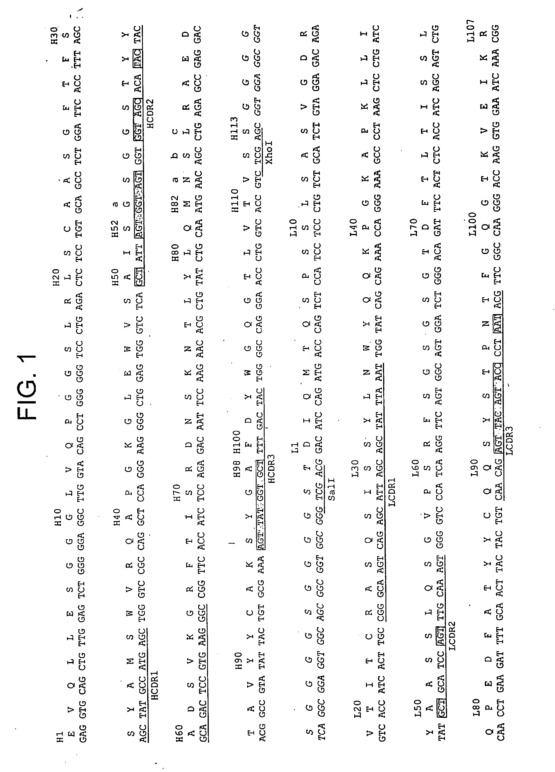 Tumor Necrosis Factor Receptor 1 antagonists and methods of use therefor