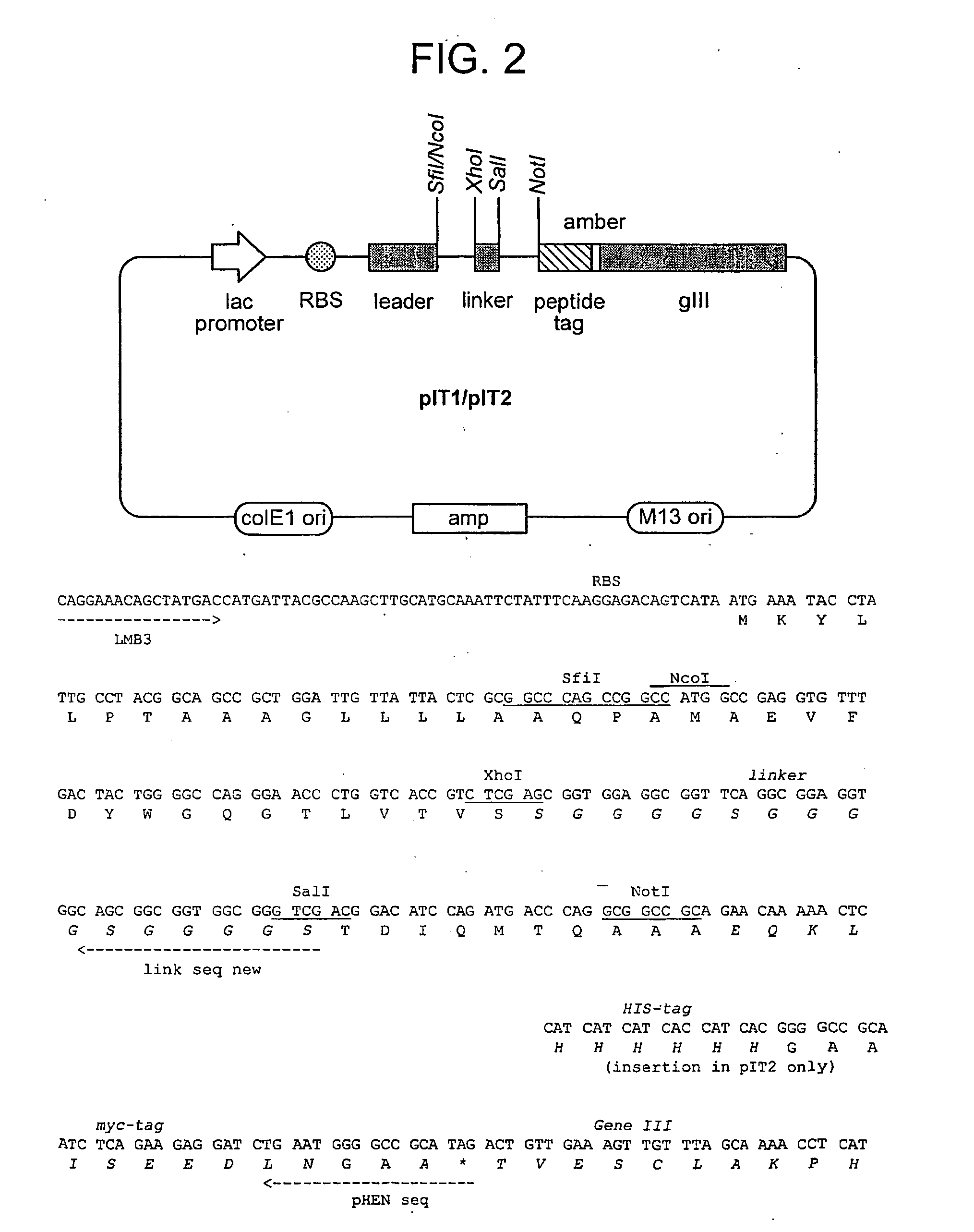 Tumor Necrosis Factor Receptor 1 antagonists and methods of use therefor