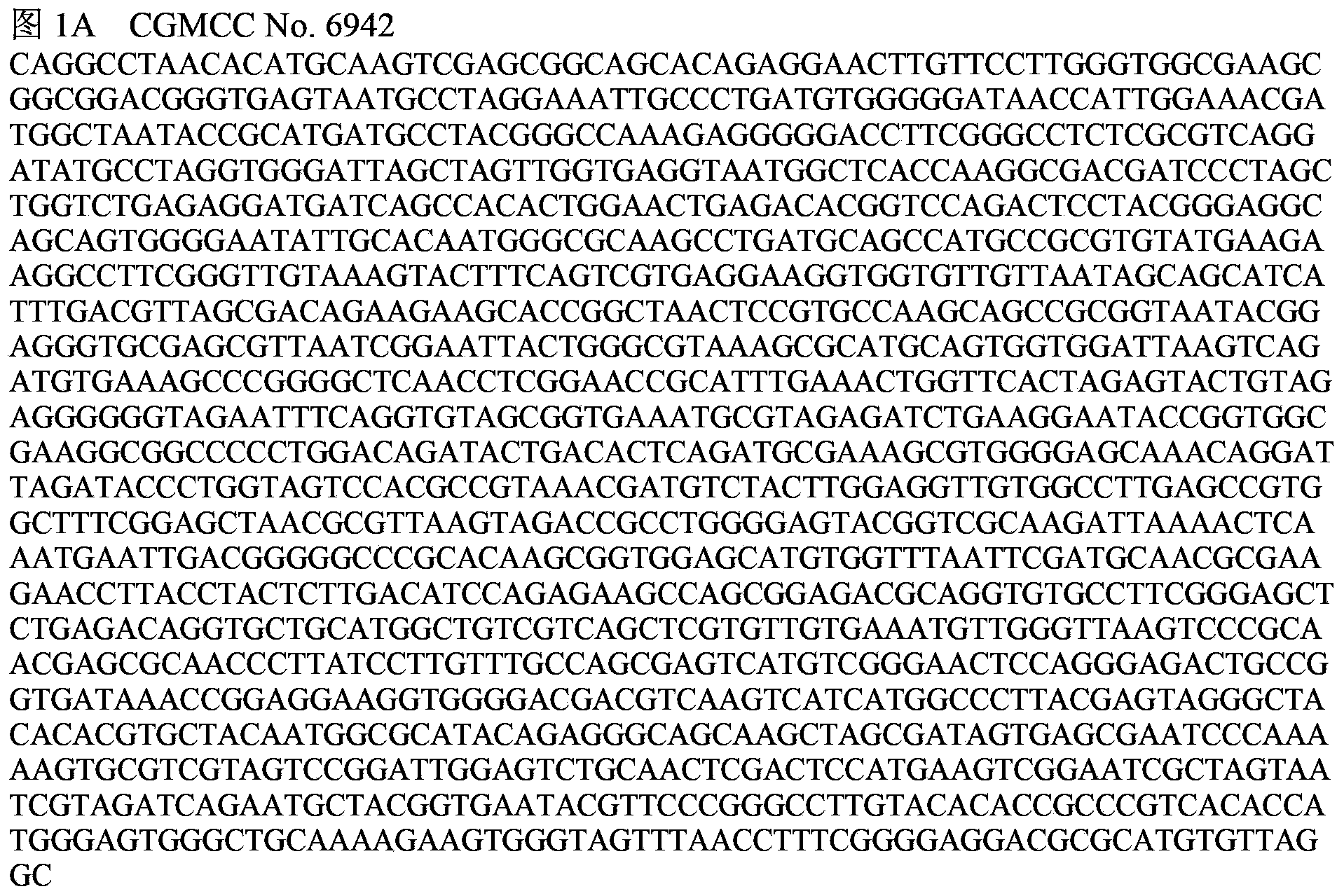 A vibrio anguillarum divalent vaccine, a preparing method thereof and a using method of the vaccine