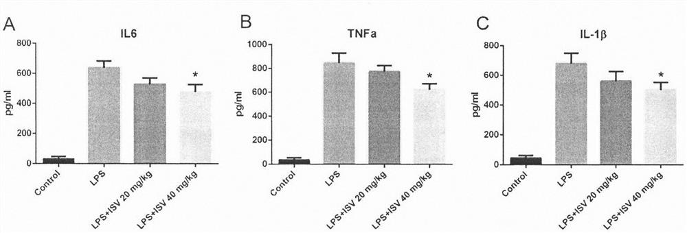 Application of isosteviol (ISV) in preparation of medicine for treating sepsis