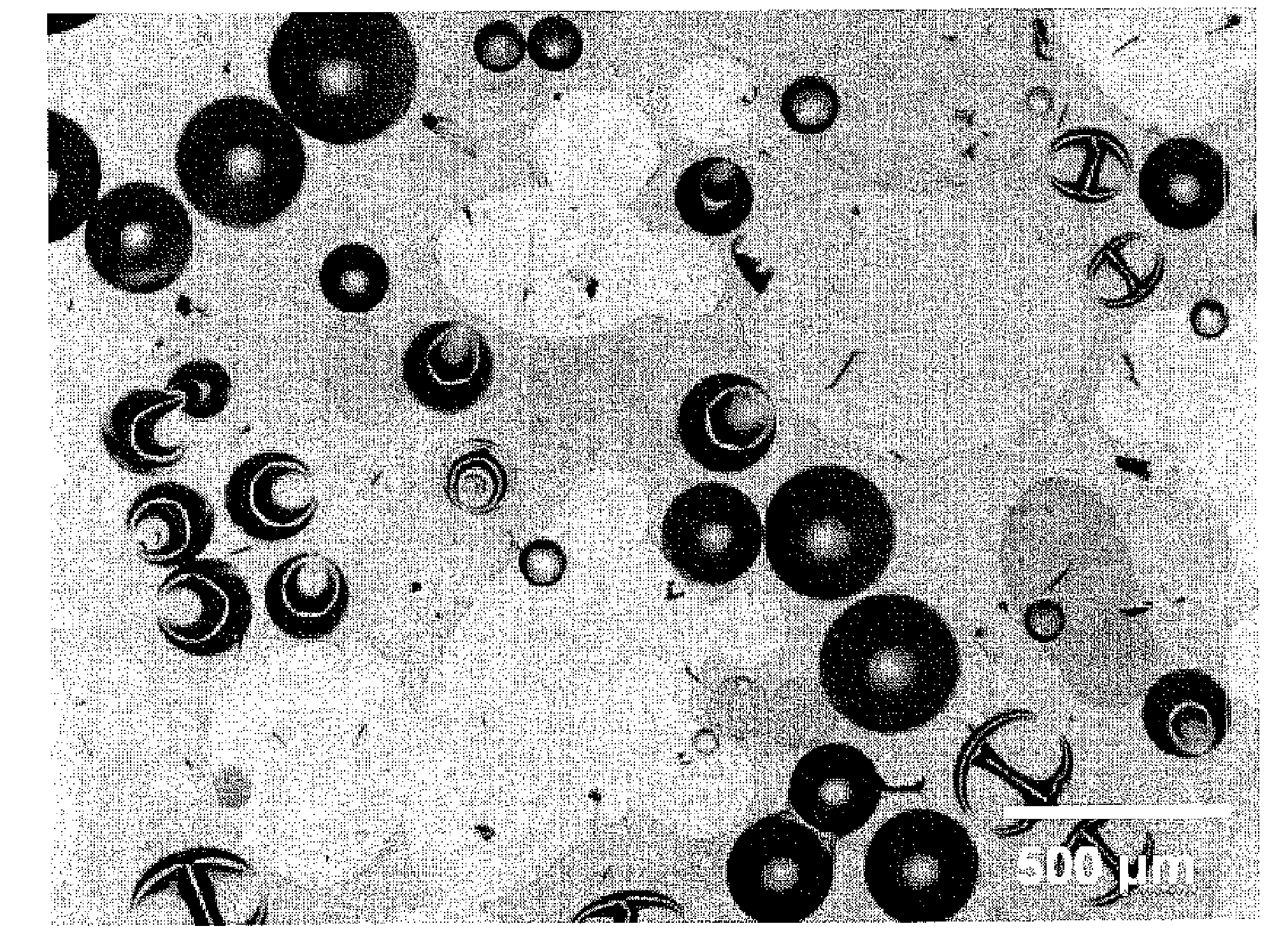 Method for depositing amorphous silicon thin film by chemical vapor deposition