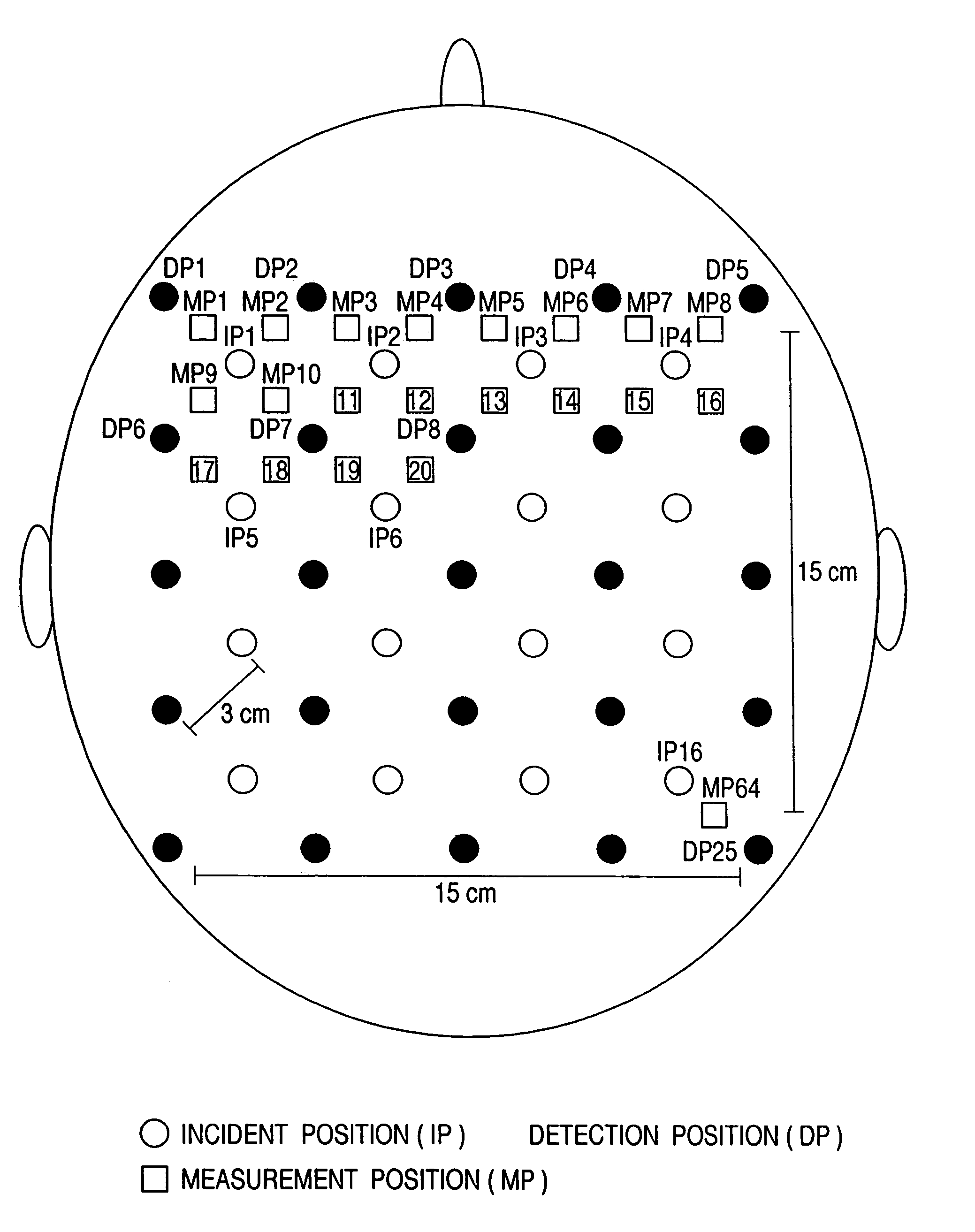 Optical measurement instrument for living body