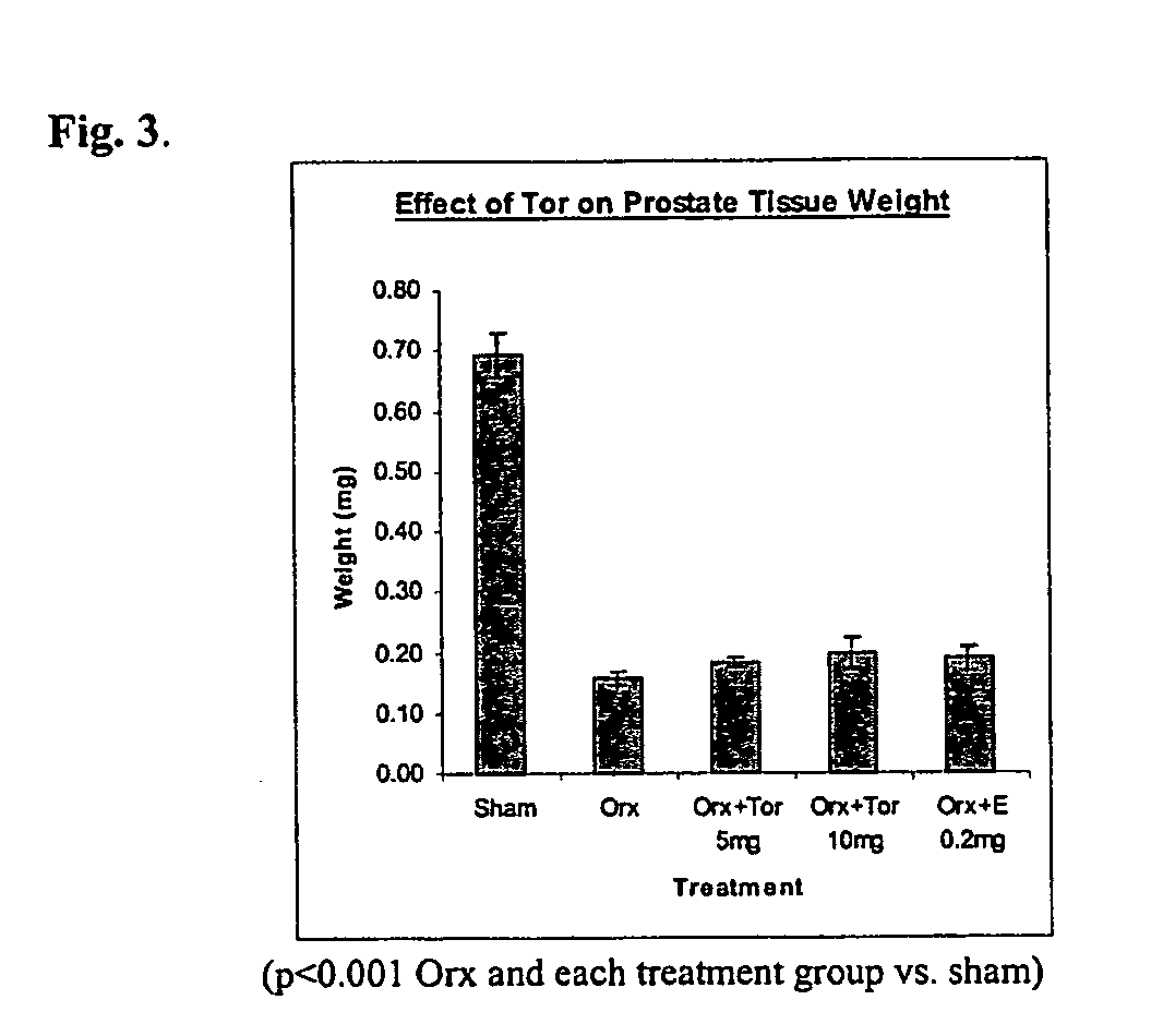 Treatment of androgen-deprivation induced osteoporosis