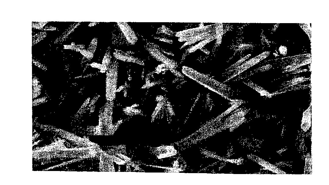 Method for synthesizing mullite whiskers by normal pressure sintering