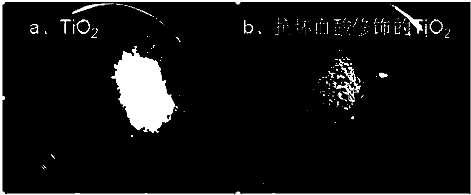 Method used for rapid separation and detection of organophosphorus pesticides in water