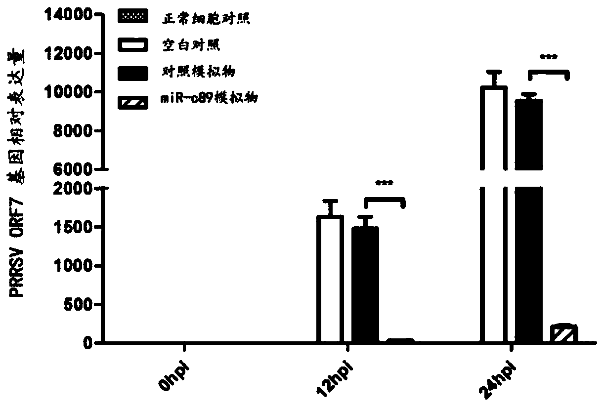 Swine-origin miR-c89 capable of resisting PRRSV (Porcine reproductive and respiratory syndrome virus) infection, and application thereof