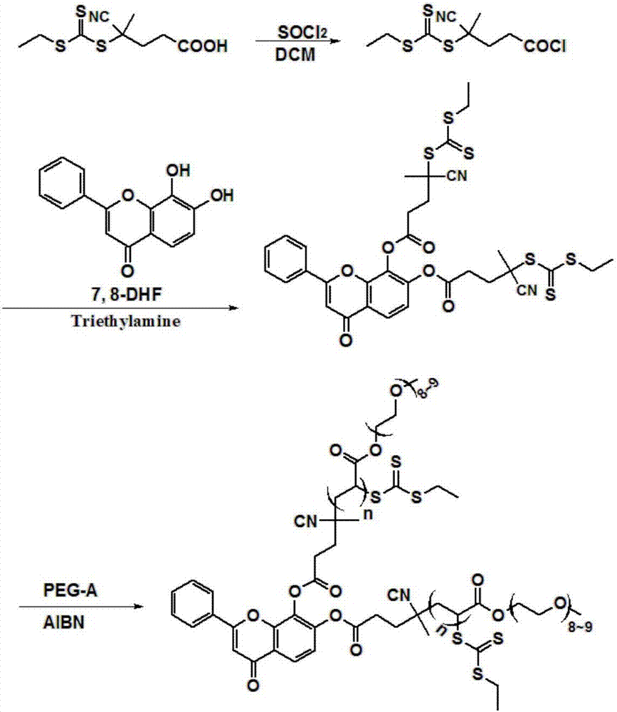 A method for improving the water solubility of 7,8-dihydroxyflavone based on raft polymerization