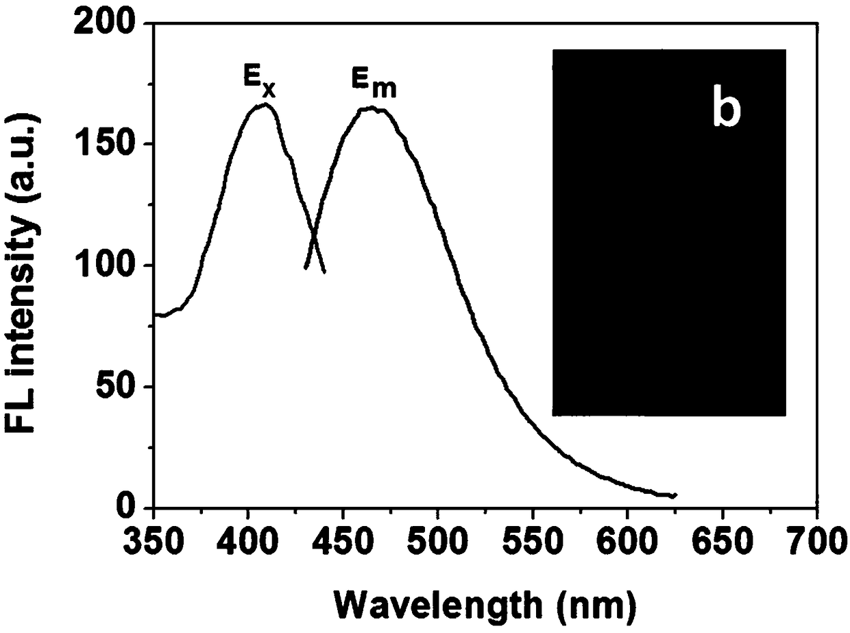 Water-soluble fluorescent silicon point as well as preparation method and application thereof