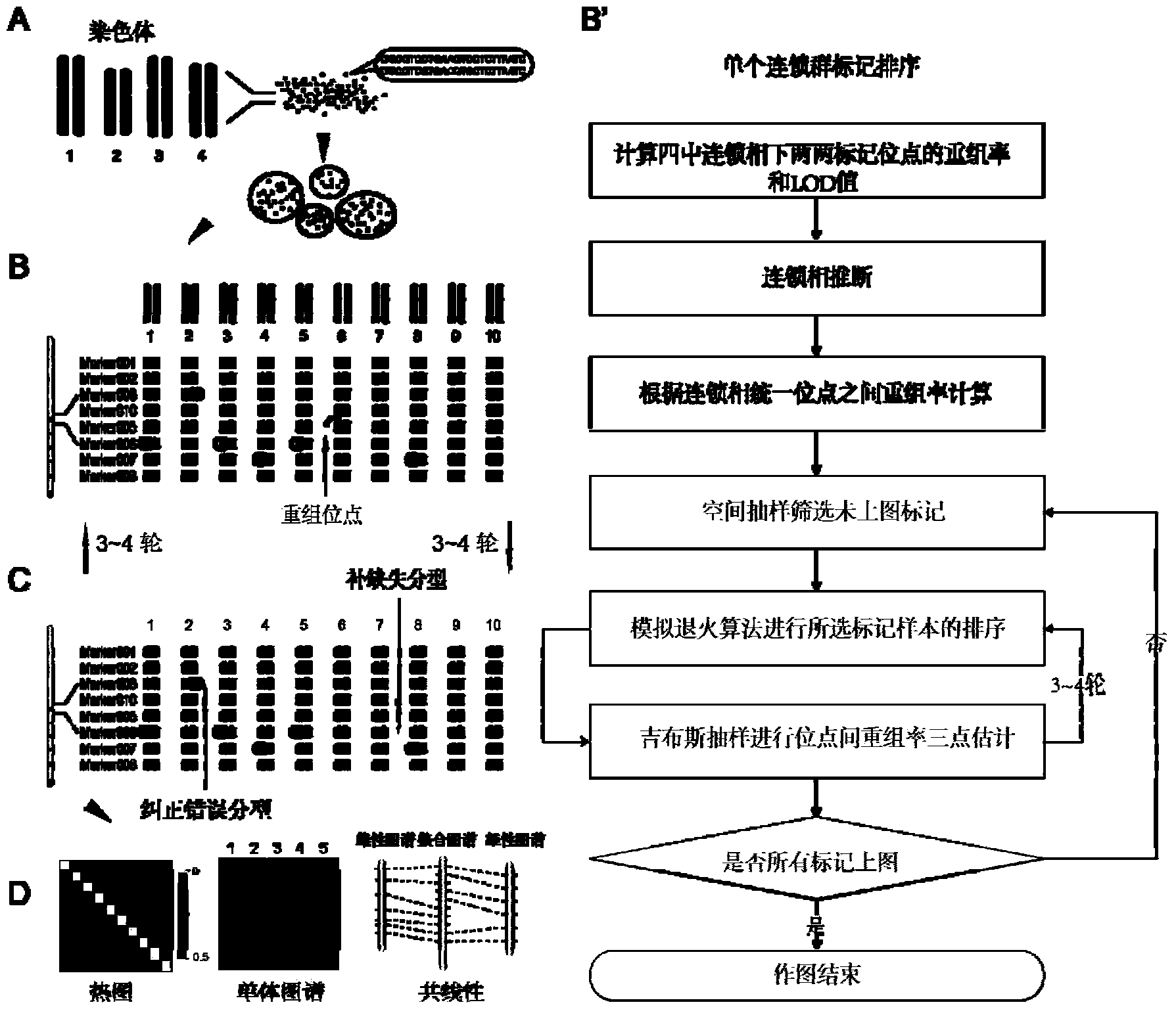 Construction and evaluation of parting High Map on basis of high throughput