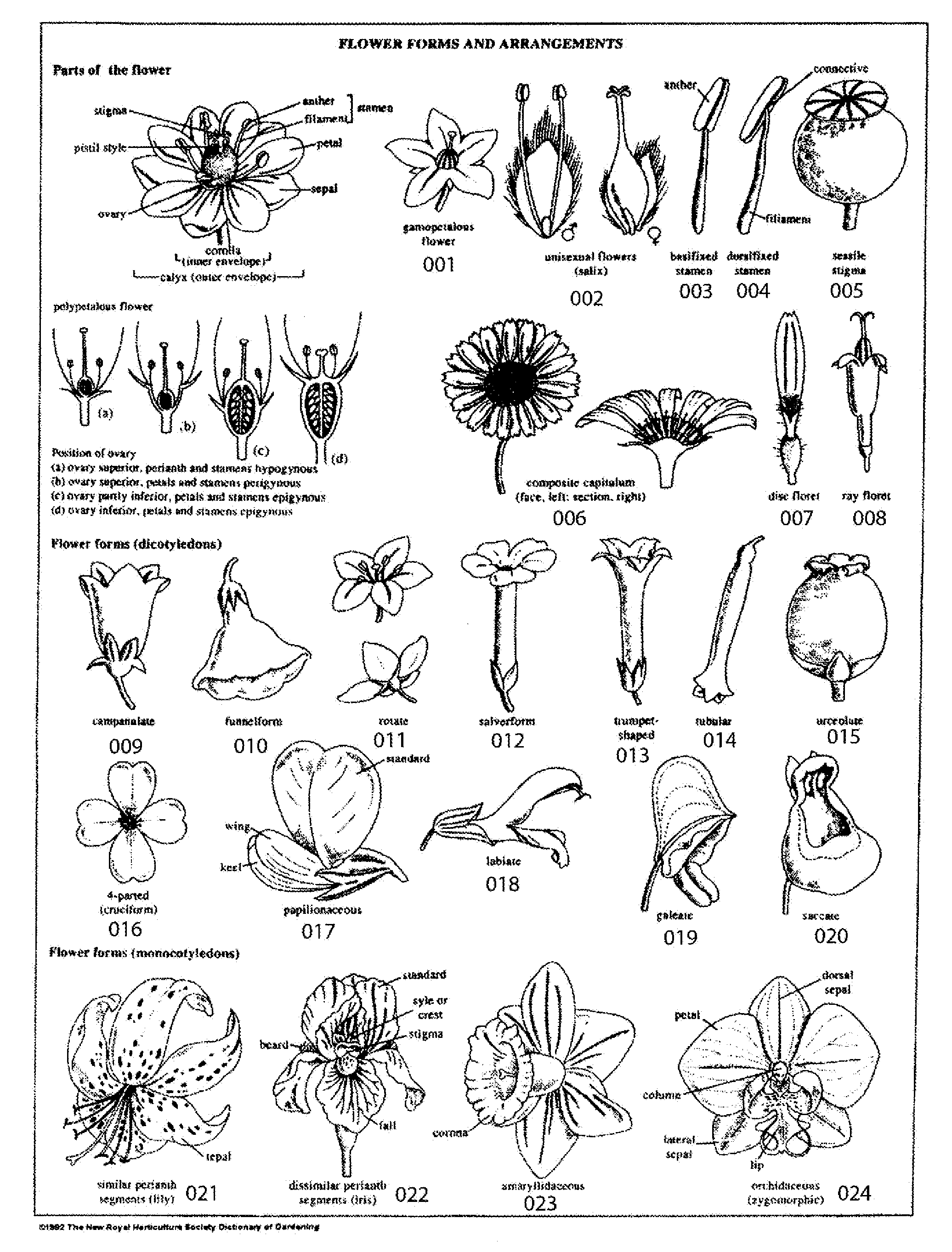 Online Platform for Design, Creation, Maintenance, and Information Sharing of a Garden