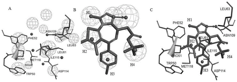 Application of protein inhibitor t323 in antifertility