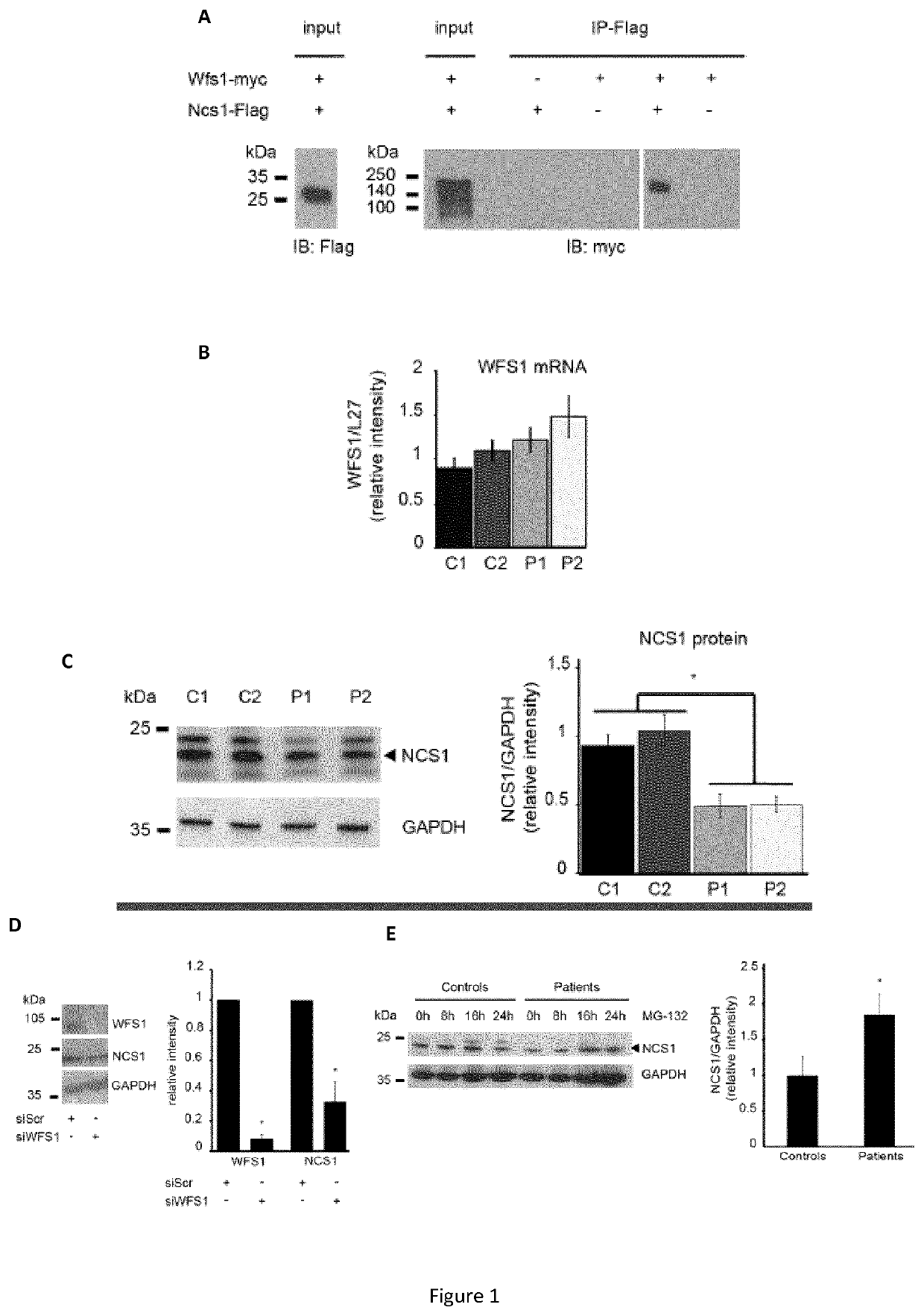 Targeting the neuronal calcium sensor 1 for treating wolfram syndrome