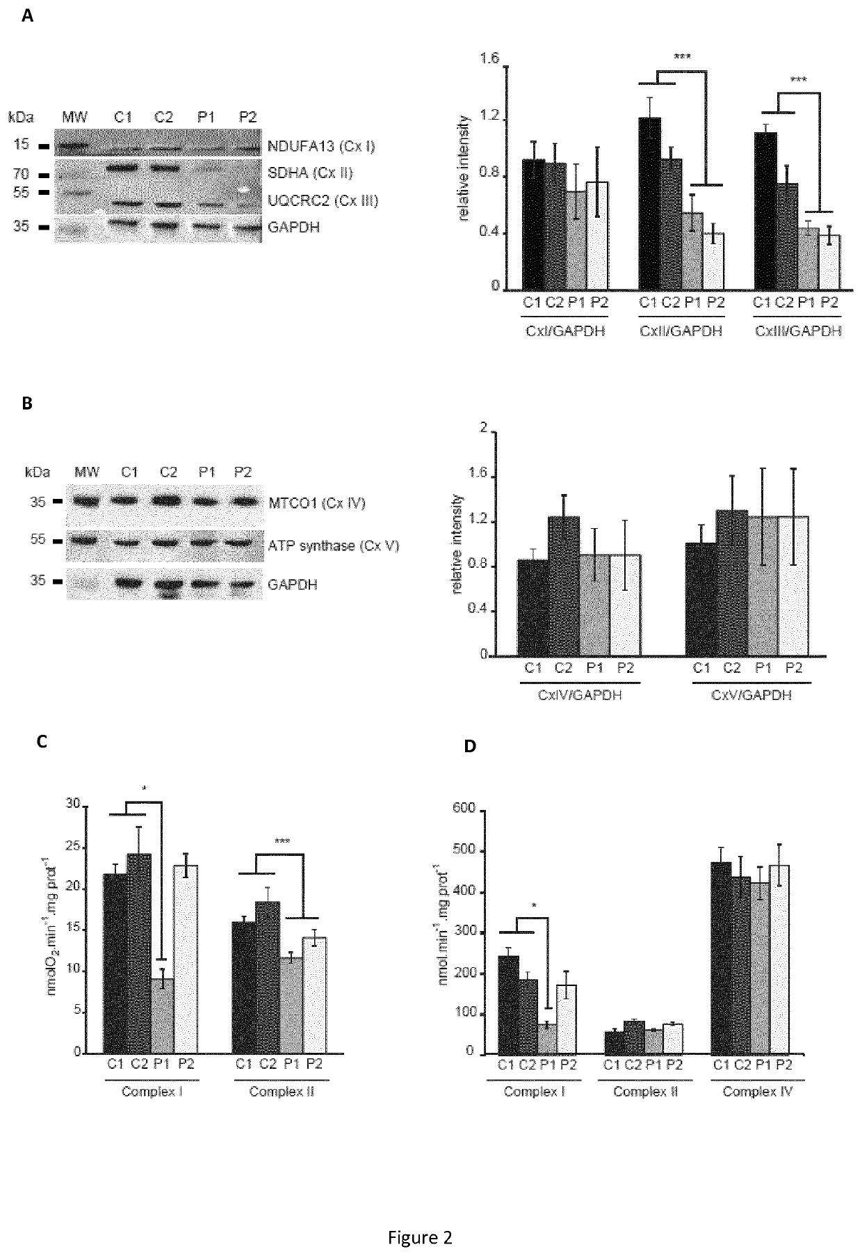 Targeting the neuronal calcium sensor 1 for treating wolfram syndrome