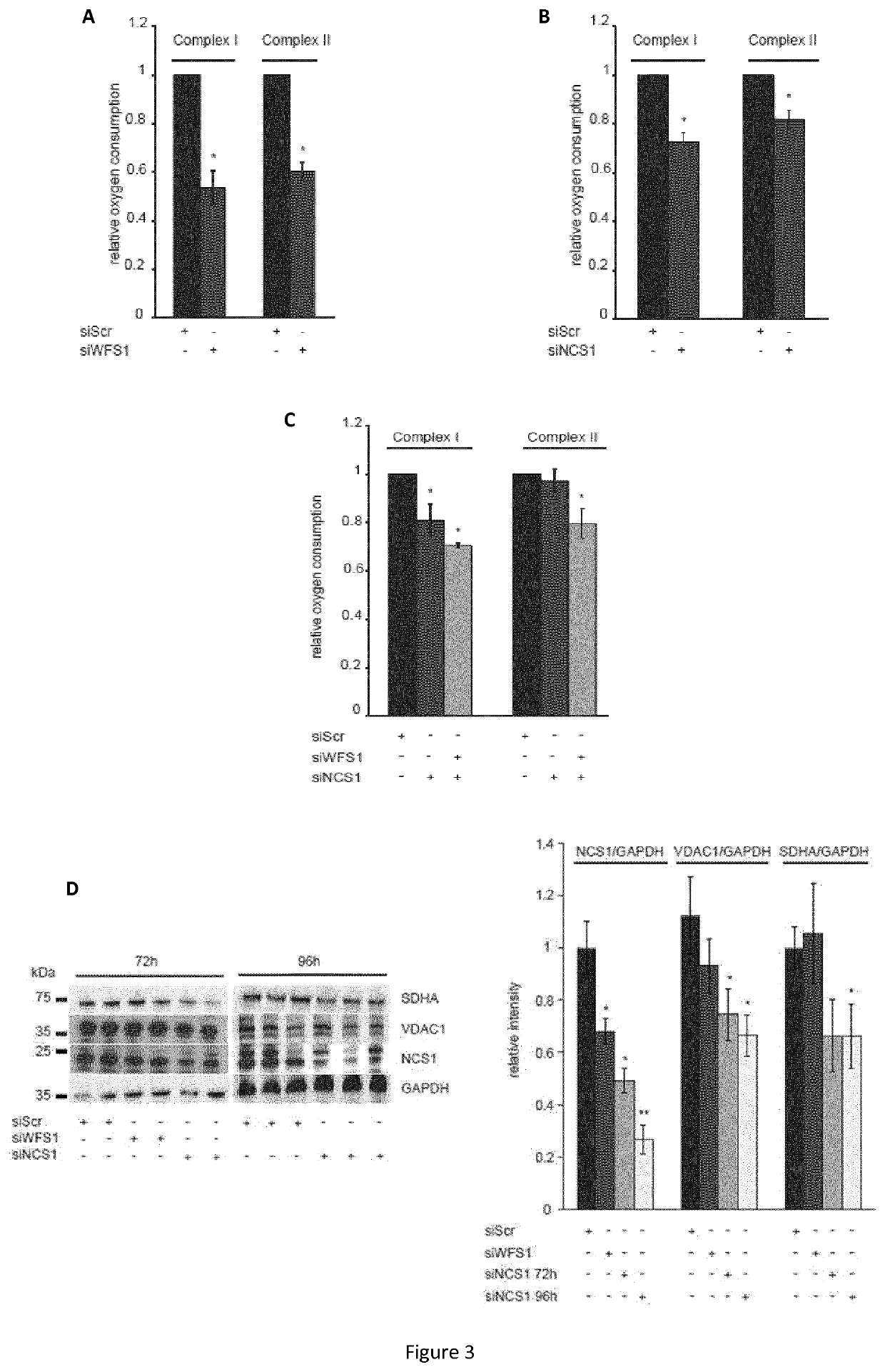 Targeting the neuronal calcium sensor 1 for treating wolfram syndrome