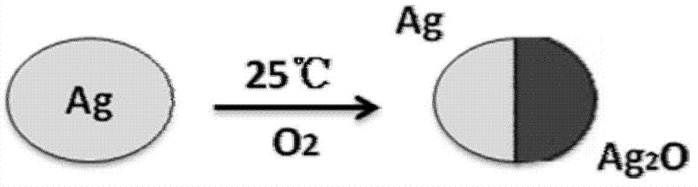 Preparation method of Ag-Ag2O hetero-structure silver material