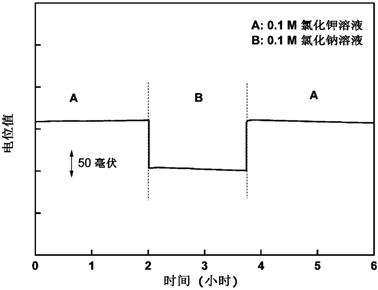 Solid state ion selective electrode based on single wall carbon nanohorn electrode and preparation method thereof