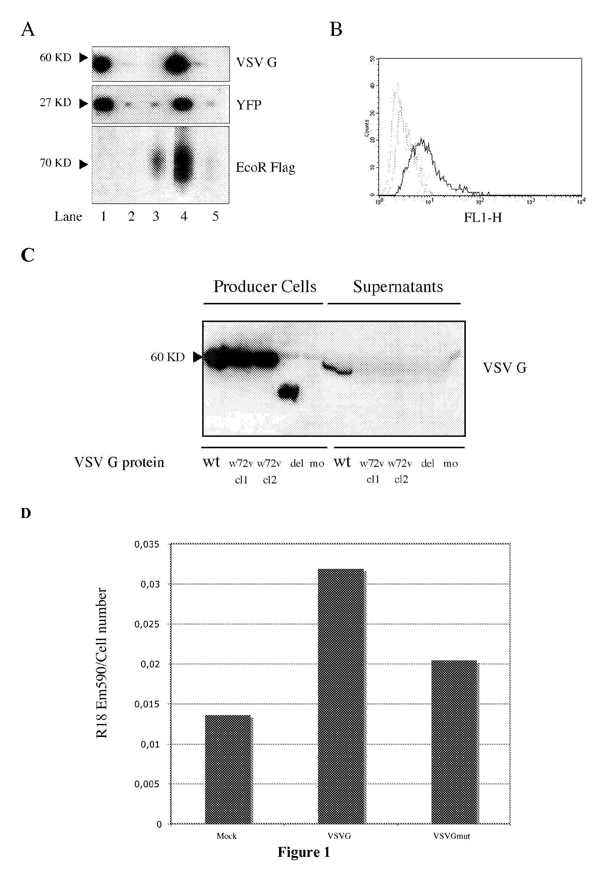 Direct protein delivery with engineered microvesicles