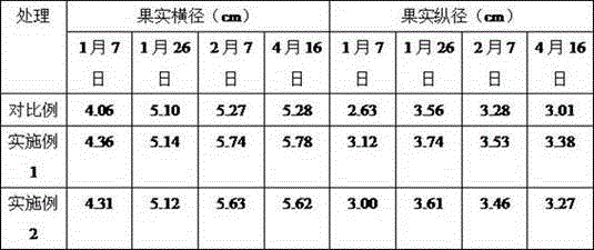 Water-soluble fertilizer containing humic acid and special for strawberries and production method of special water-soluble fertilizer