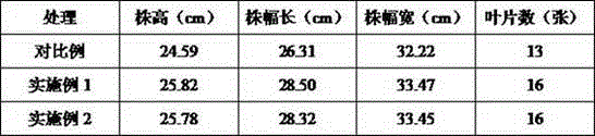 Water-soluble fertilizer containing humic acid and special for strawberries and production method of special water-soluble fertilizer