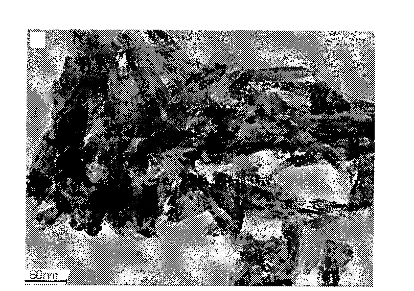 Method for preparing repairing material of antibacterial degradable active nanometer composite bionic tone tissue