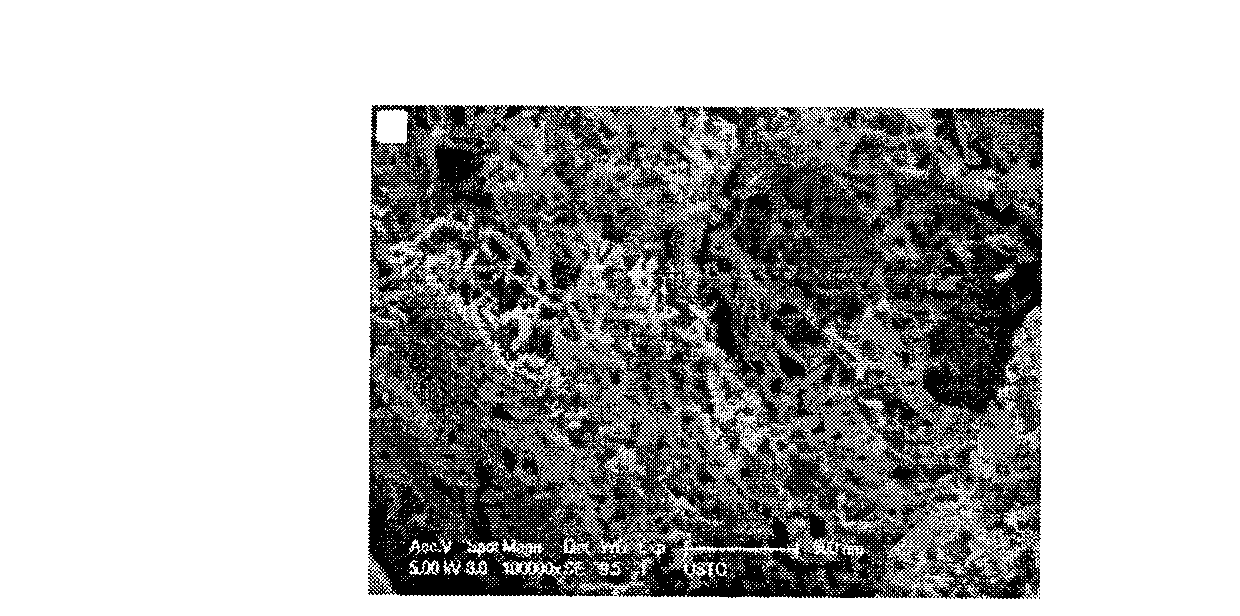 Method for preparing repairing material of antibacterial degradable active nanometer composite bionic tone tissue