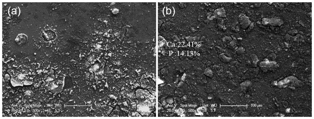 Biomedical pure magnesium surface functional structured ion implantation modified layer and preparation method and application thereof