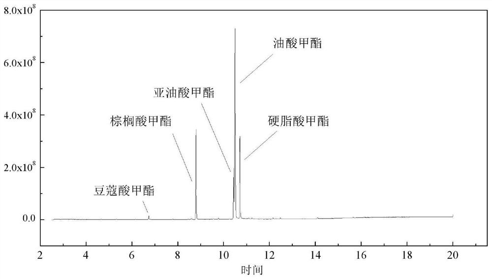 Method for preparing biodiesel from rhodosporidium toruloides