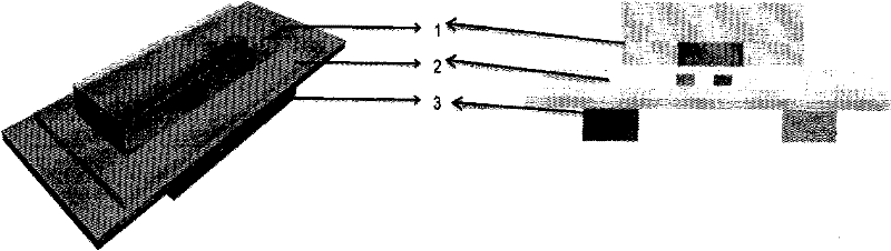 Micro-fluidic chip for micro-magnetic field control and manufacturing method thereof