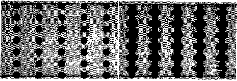 Micro-fluidic chip for micro-magnetic field control and manufacturing method thereof