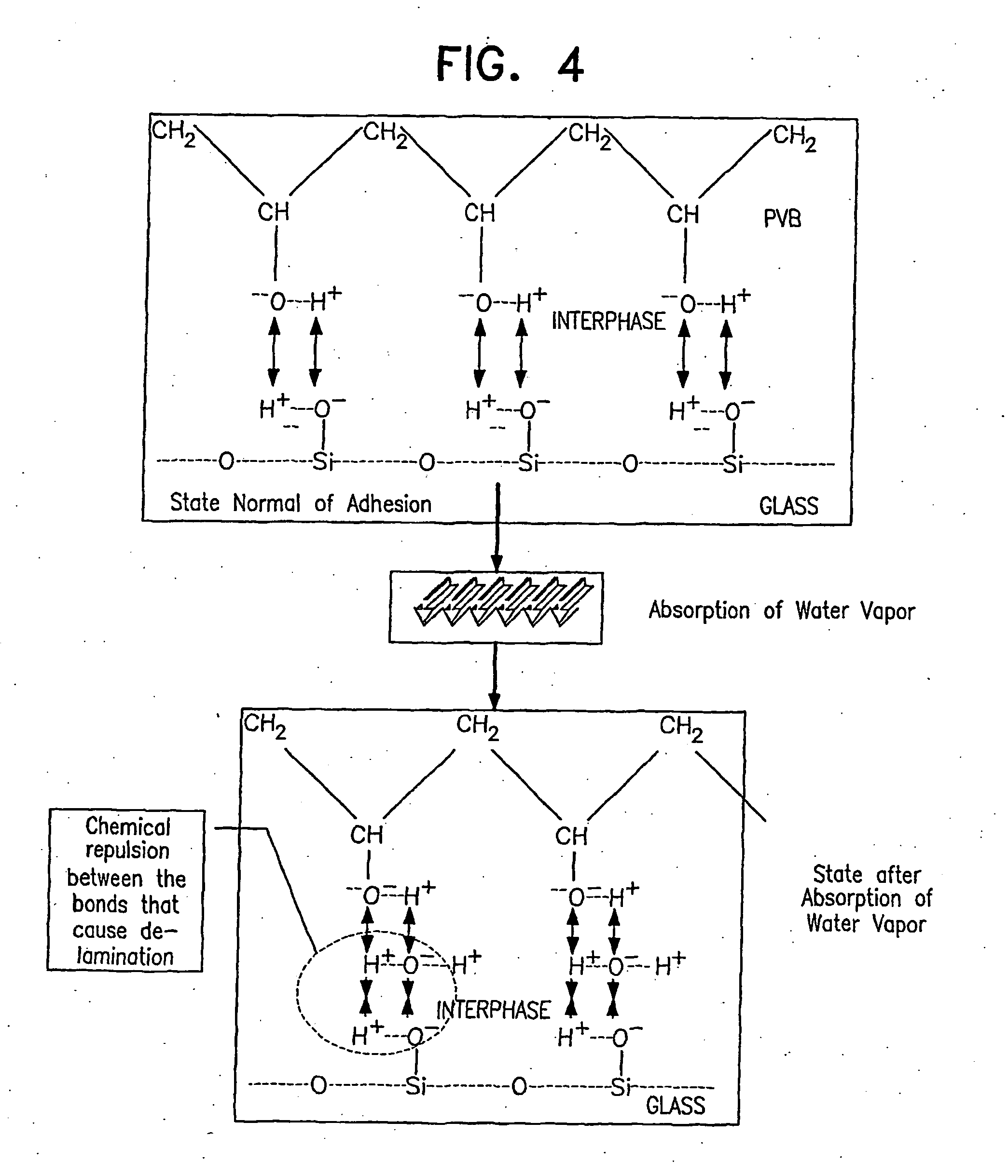 Pet as edge seal for multilaminated compositions