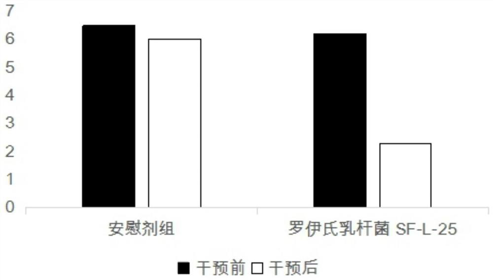 Lactobacillus reuteri SF-L-25 with helicobacter pylori inhibiting function and application thereof