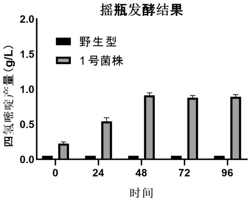 Yunnan Tengchong source ectoine synthetic gene cluster and application thereof