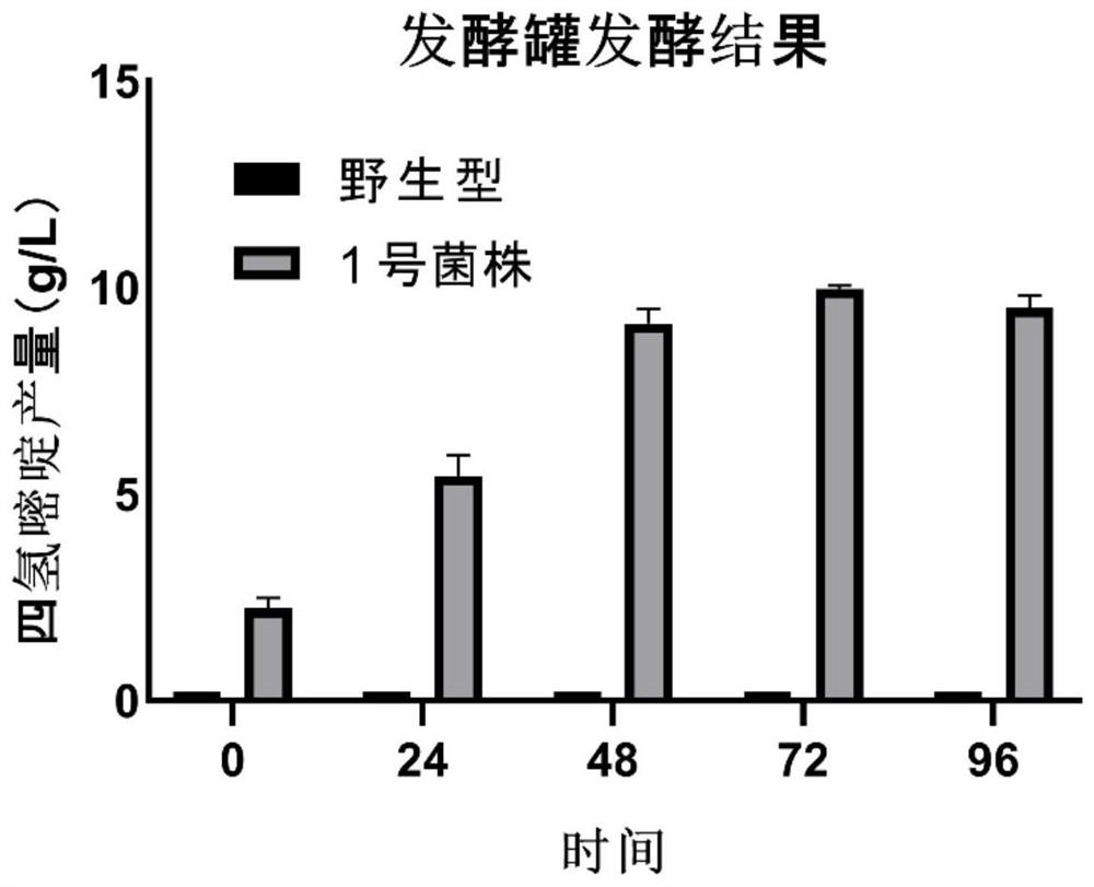 Yunnan Tengchong source ectoine synthetic gene cluster and application thereof