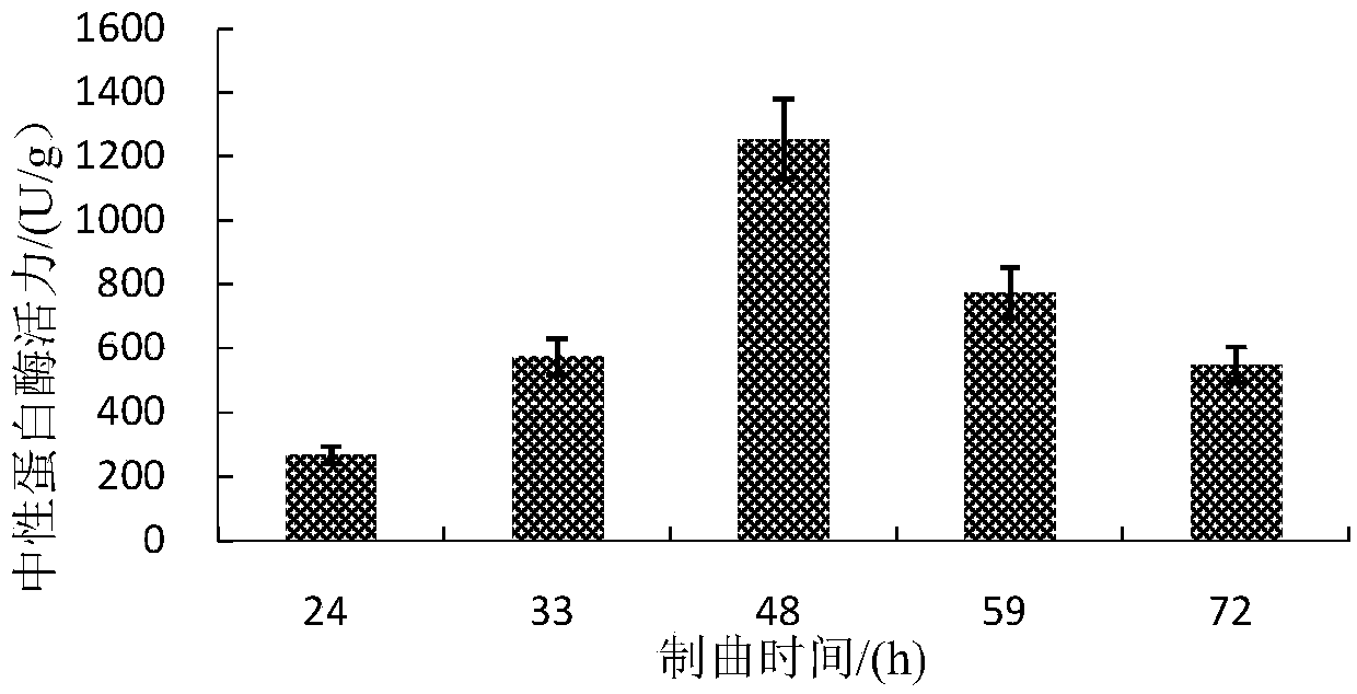 Method for preparing broad bean sauce through synergistic fermentation of multiple bacteria