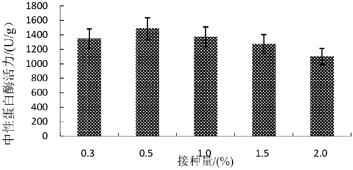 Method for preparing broad bean sauce through synergistic fermentation of multiple bacteria