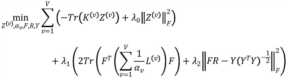 Multi-view atlas clustering method and system based on graph optimization