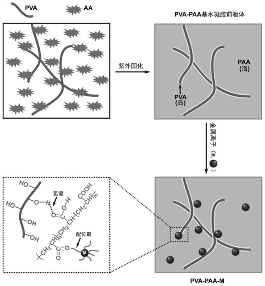 A method for preparing high-strength hydrogel based on the principle of leather tanning