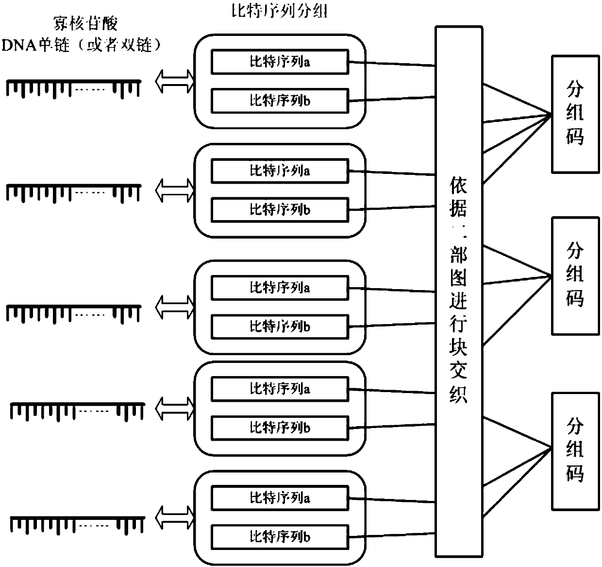 DNA storage hierarchical representation and interleaved coding method capable of containing artificial bases