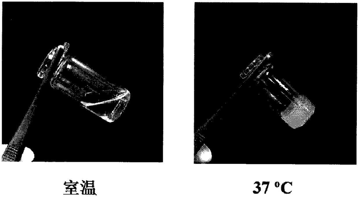 A temperature-sensitive self-healing hydrogel loaded with doxorubicin hydrochloride and its preparation method