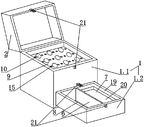 Magnetic bead chemiluminiscence detection kit