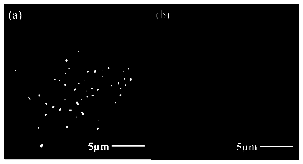 Preparation method and application of dual-function biosensor HRP@ZIF-8/DNA