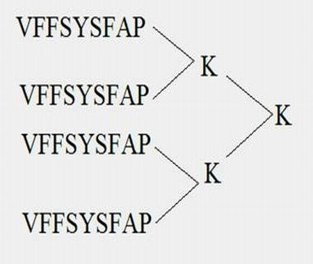 Oncotherapy type heparanase MAP vaccine