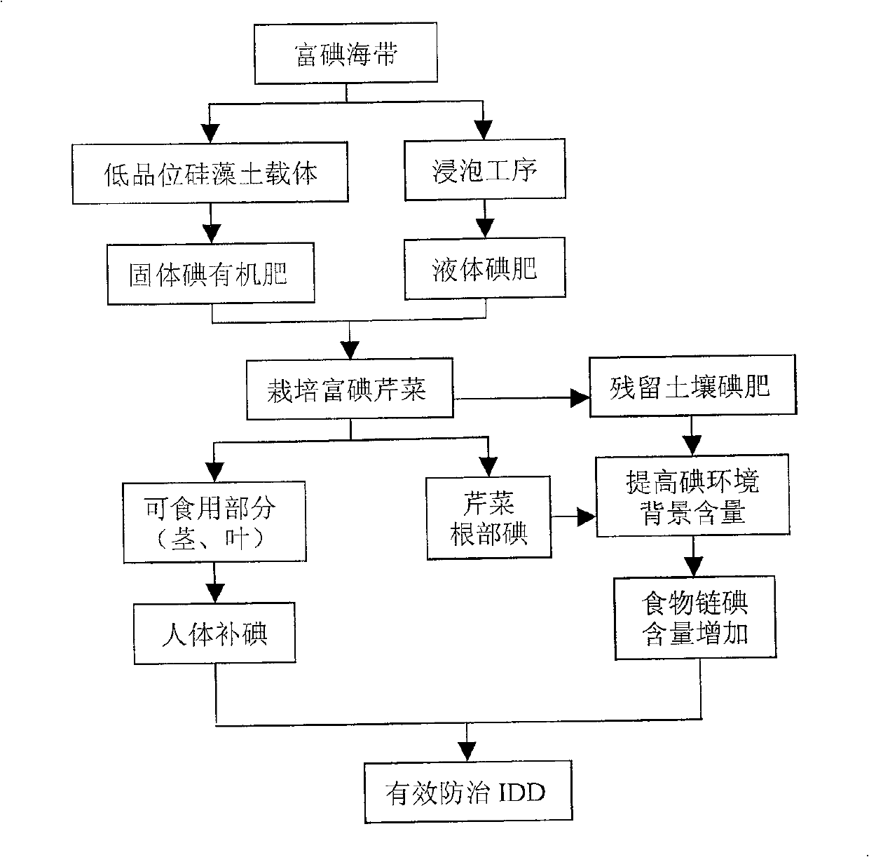 Method for cultivating celery containing iodine