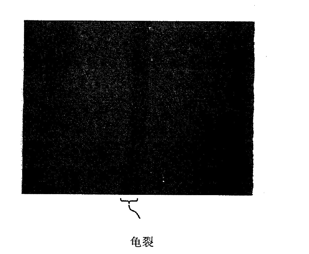 Method for evaluating corrosion fatigue damage