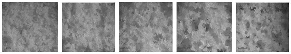 Method for improving antibacterial activity of sponge cake, sponge cake and preparation method of sponge cake