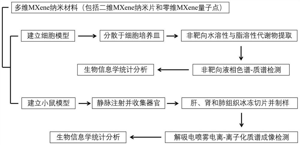 Metabonomics analysis method of multi-dimensional MXene nano material