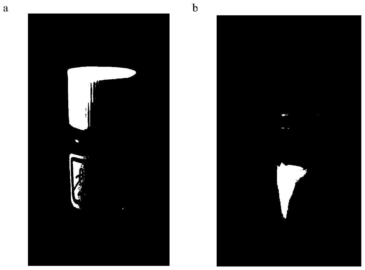 Nano antibacterial emulsion containing tea tree essential oil and preparation method thereof