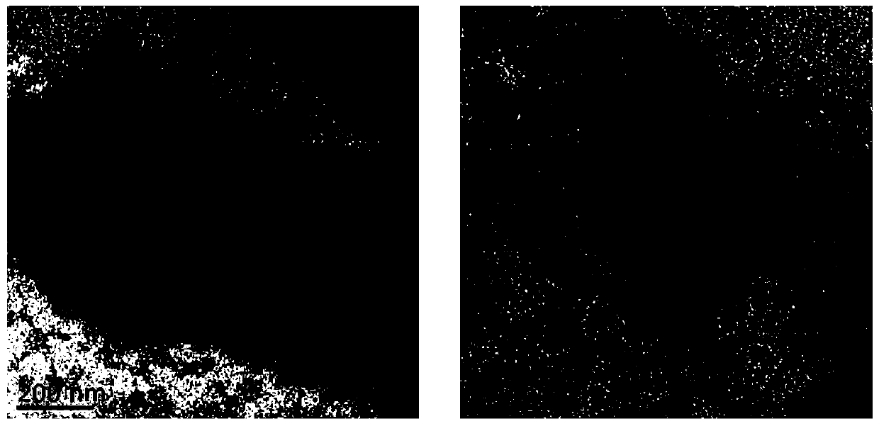 Nano antibacterial emulsion containing tea tree essential oil and preparation method thereof